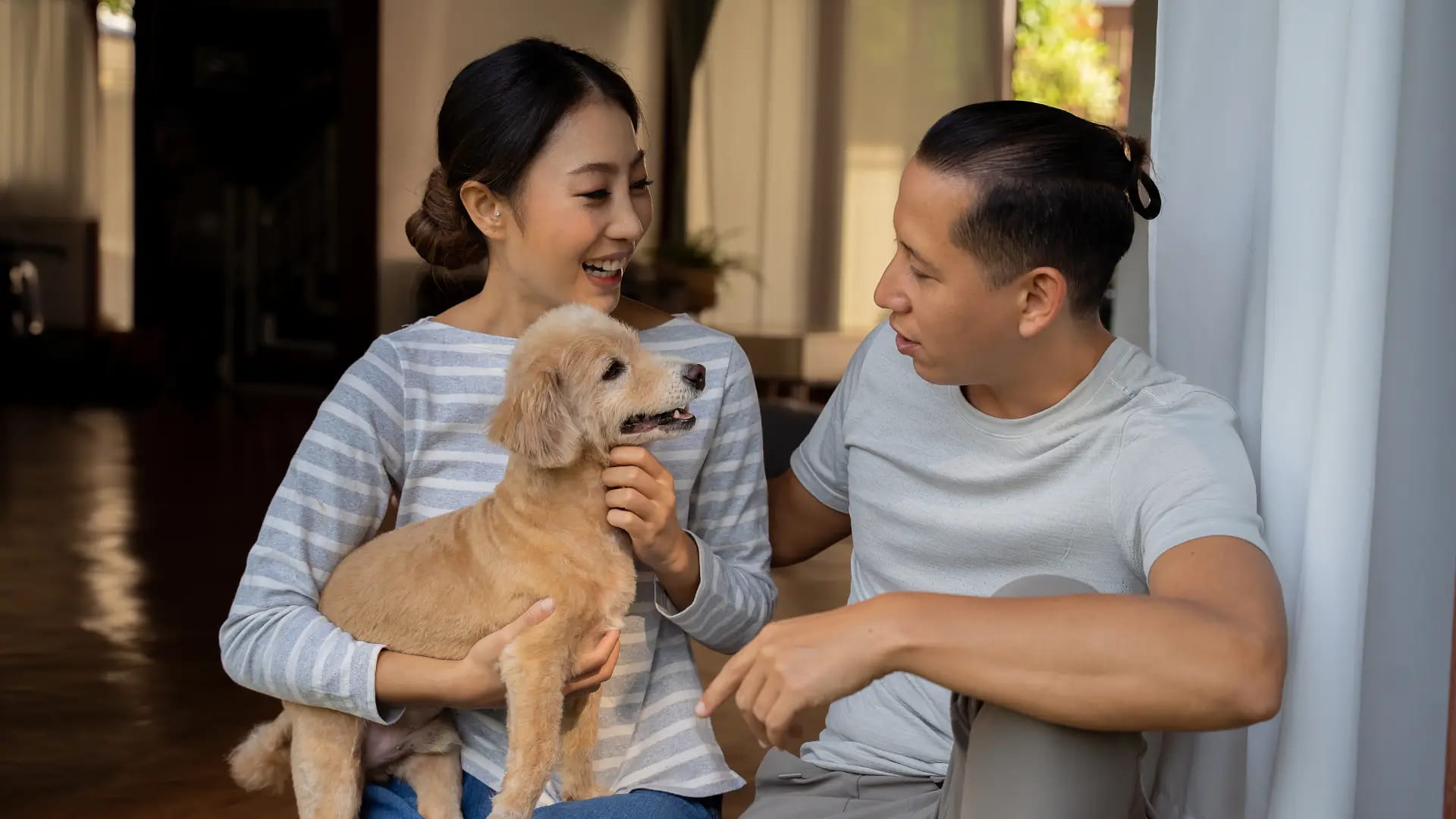 Happy couple with family pet – prenuptial agreements NZ